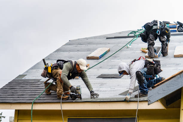 Professional Roofing technician working in Marcola, OR